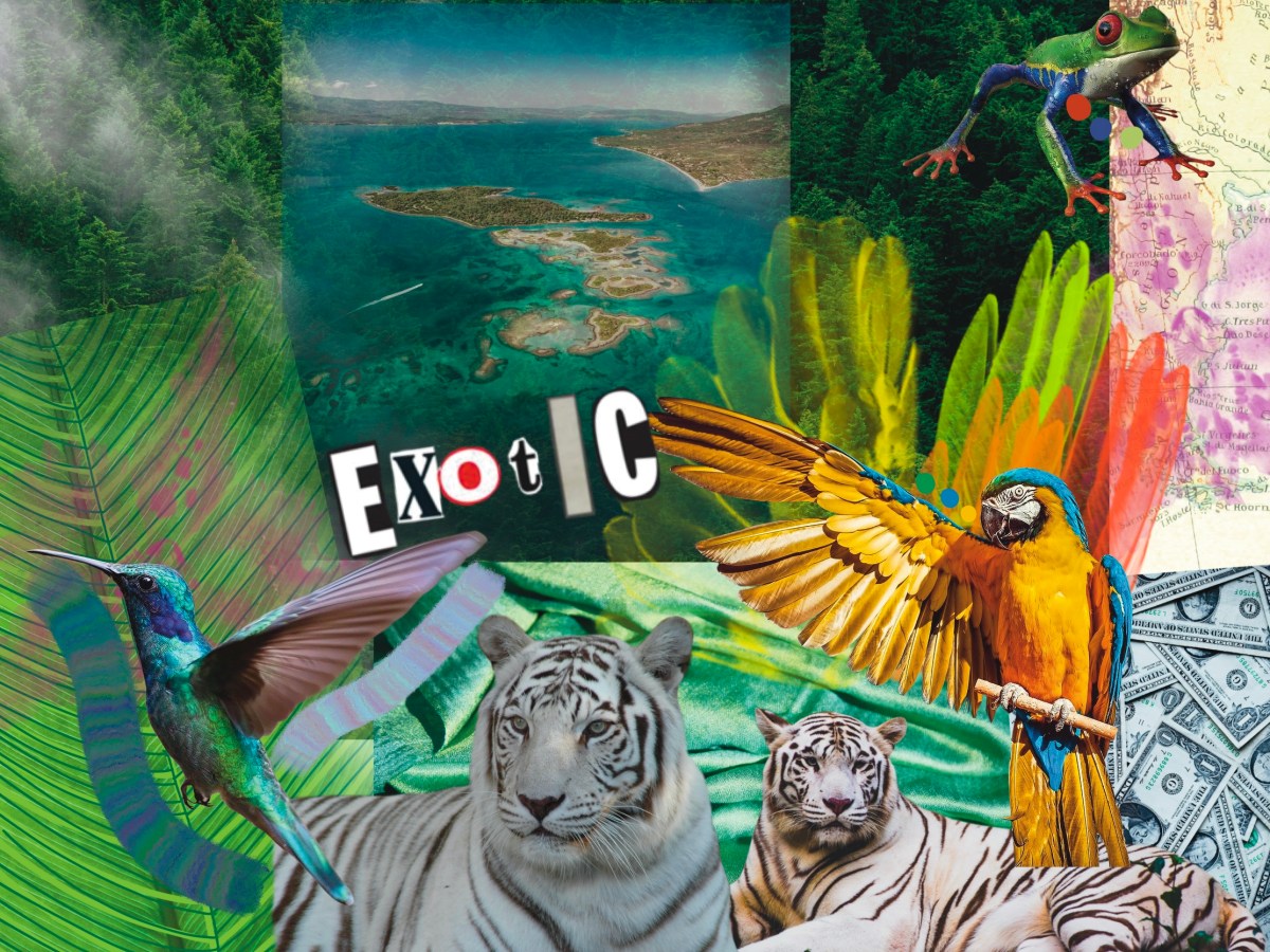 Exercise 6: Making a Mood&nbsp;Board