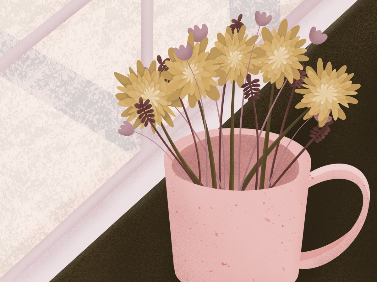 Three Colour Challenge