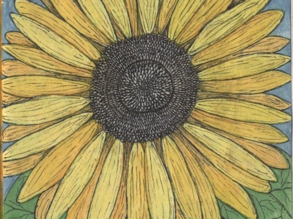 Sketchbook Circle Book&nbsp;3