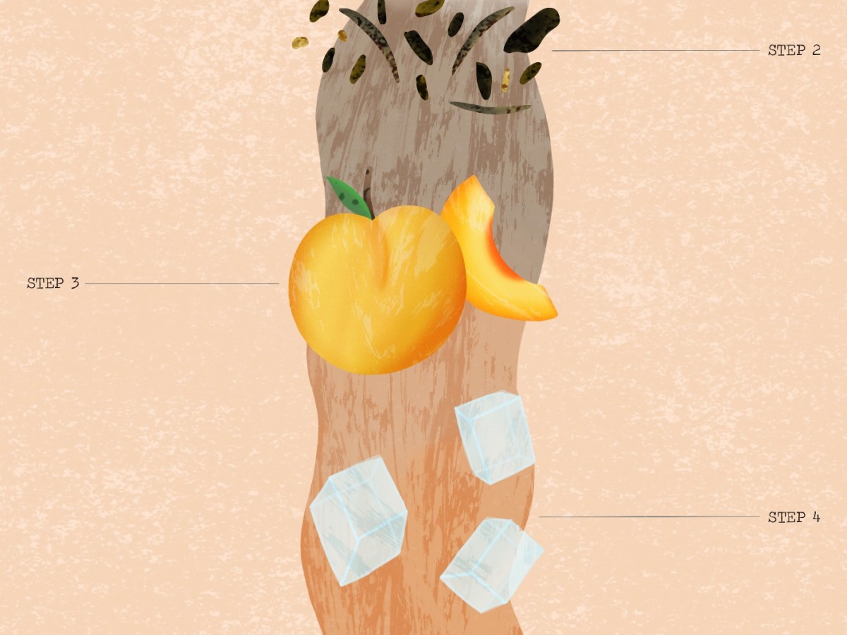 Exercise 18: Giving&nbsp;Instructions