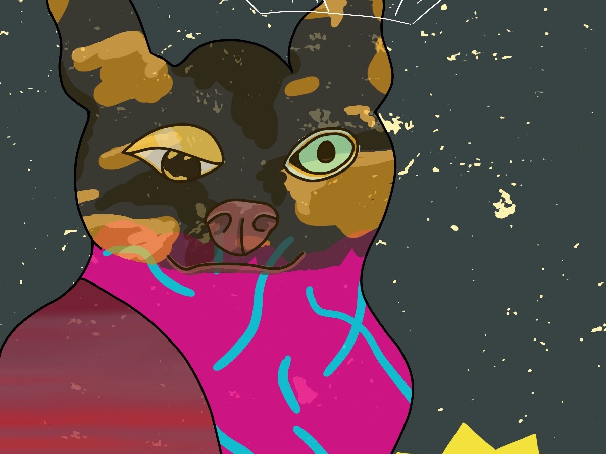 Exercise 27: Visual&nbsp;Distortion