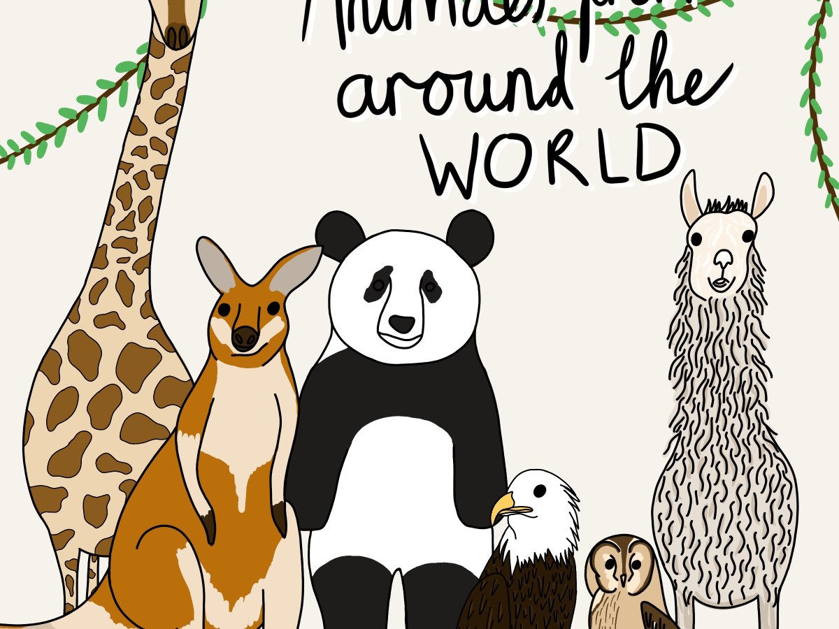 Exercise 24: A Children’s Book&nbsp;Cover