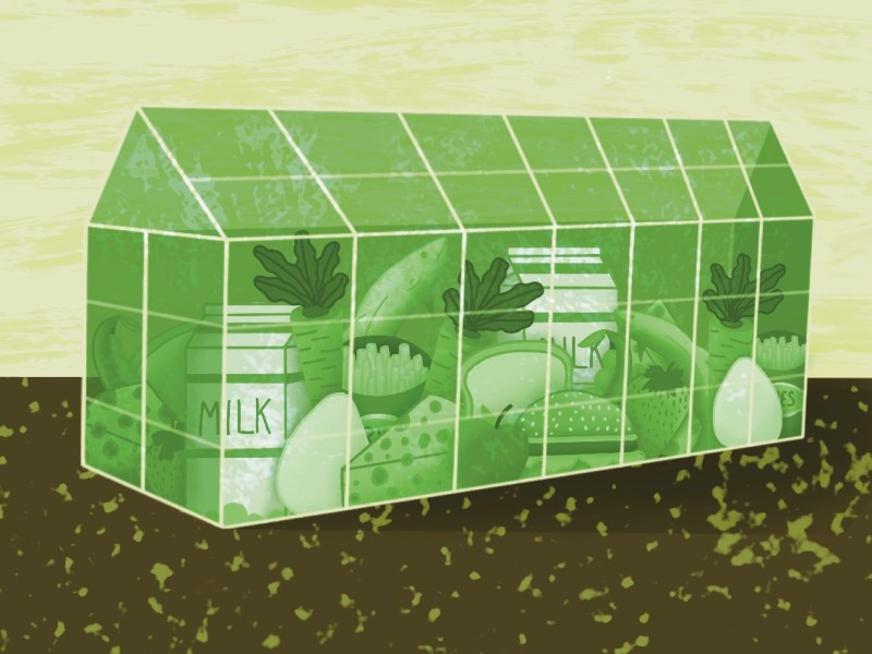 Exercise 30: Editorial&nbsp;Illustration