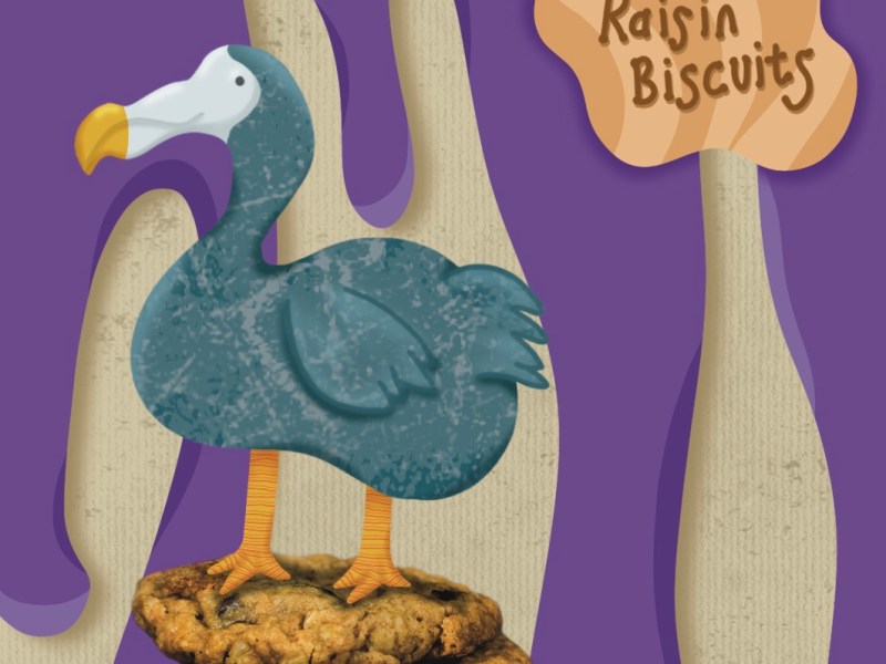 Exercise 33: Packaging