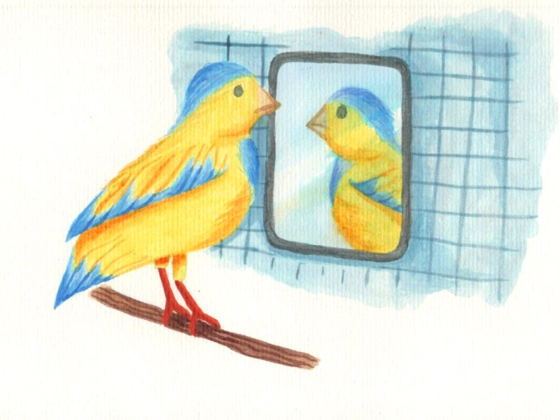 Exercise 34: Working for&nbsp;Children