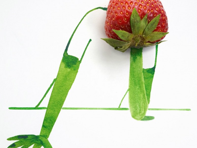 Research Task 2.2: Christoph Niemann and Saul&nbsp;Steinberg