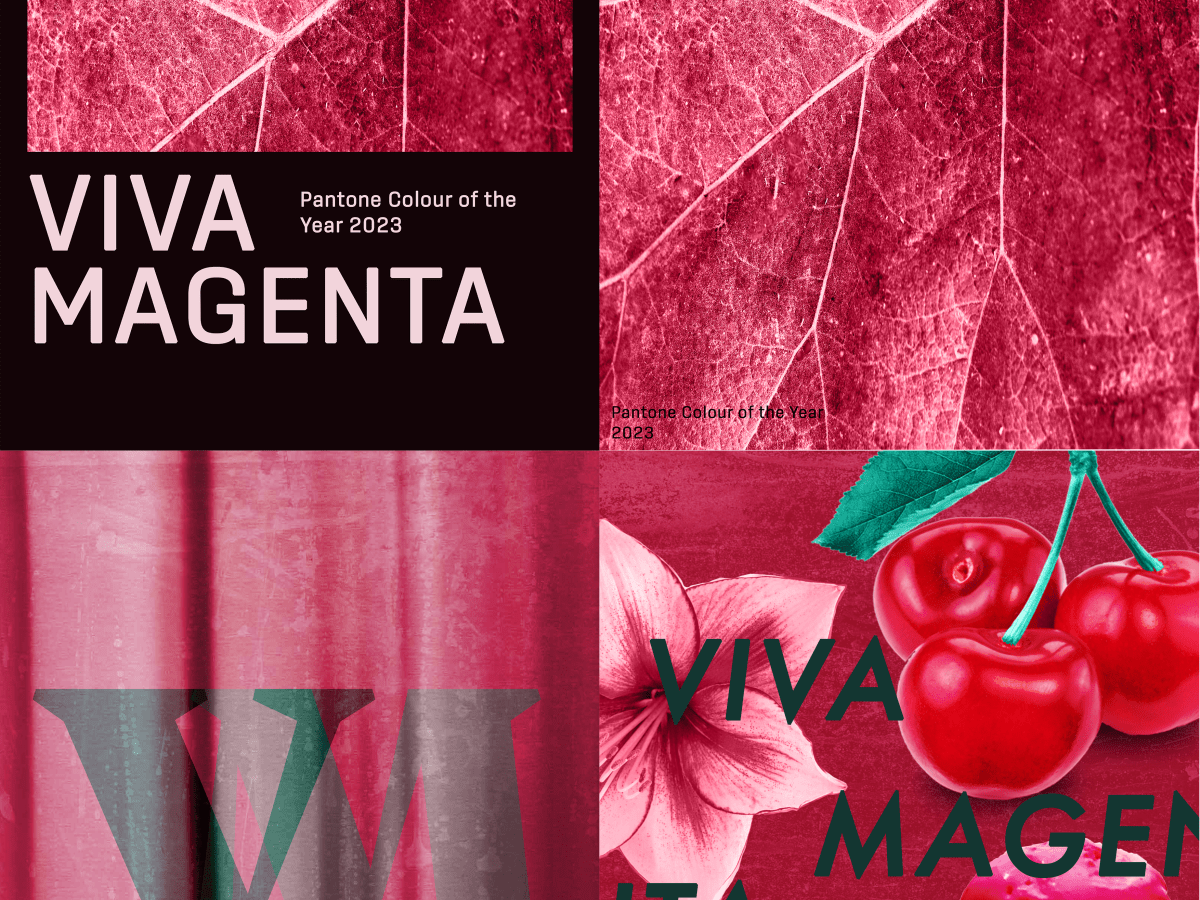 Assignment 3: Colour&nbsp;Me…